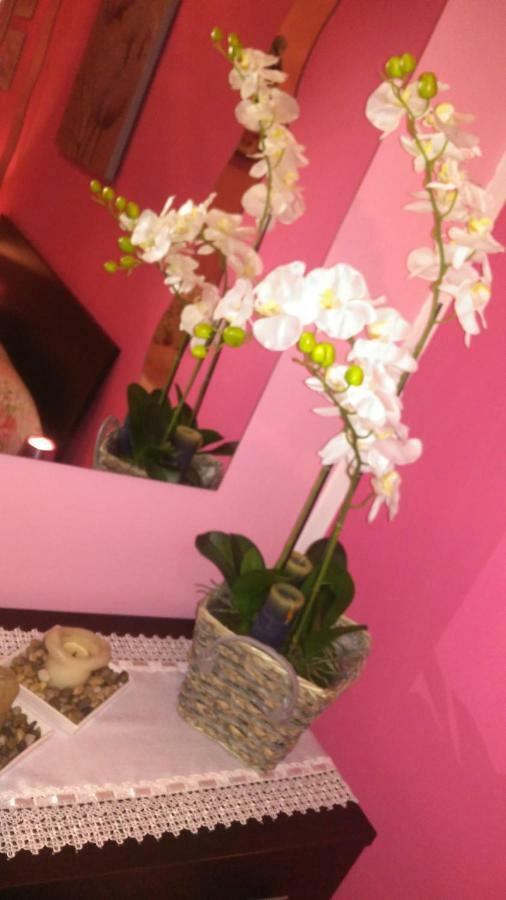 B&B San Vitale Bolonya Dış mekan fotoğraf