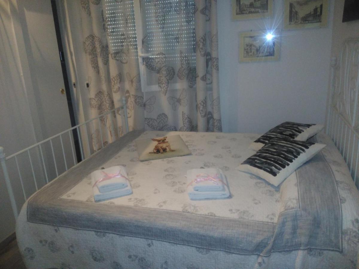 B&B San Vitale Bolonya Dış mekan fotoğraf